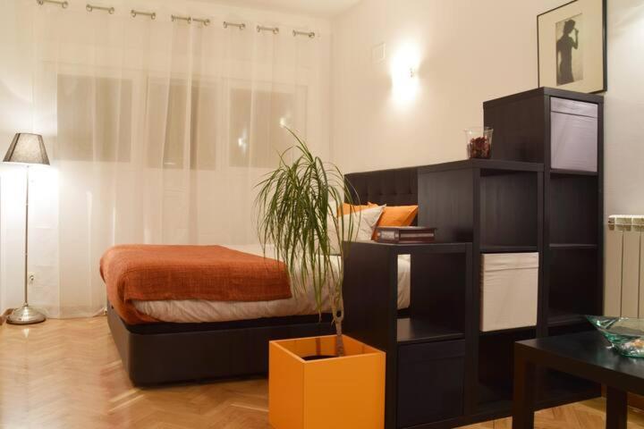 Estudio Acogedor Y Luminoso Daire Madrid Dış mekan fotoğraf